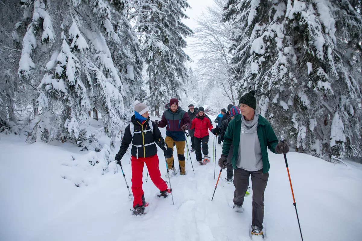 Schneeschuhgruppe wandert im Winterwald