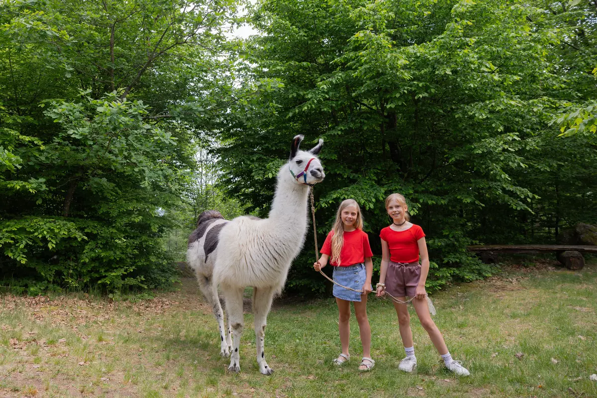 Zwei Kinder mit Lama 