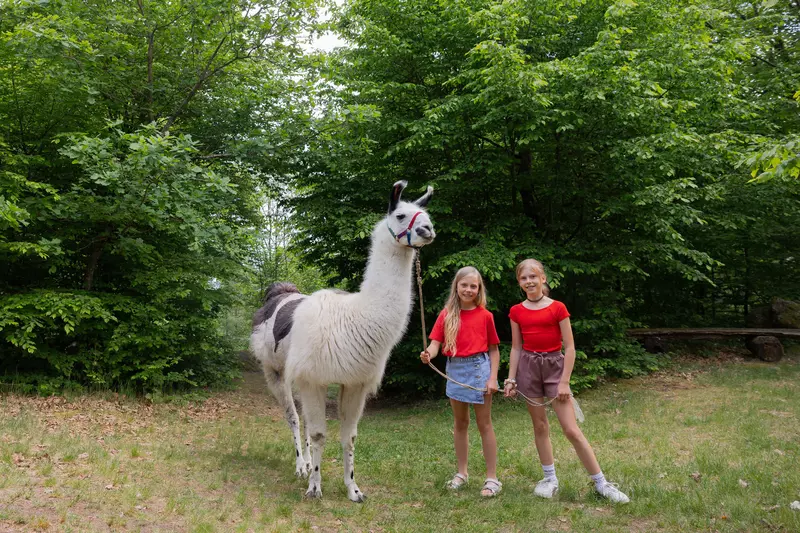 Zwei Kinder mit Lama 