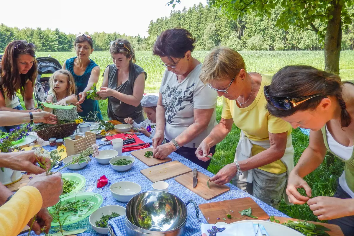 Gruppe beim Kräuterschneiden