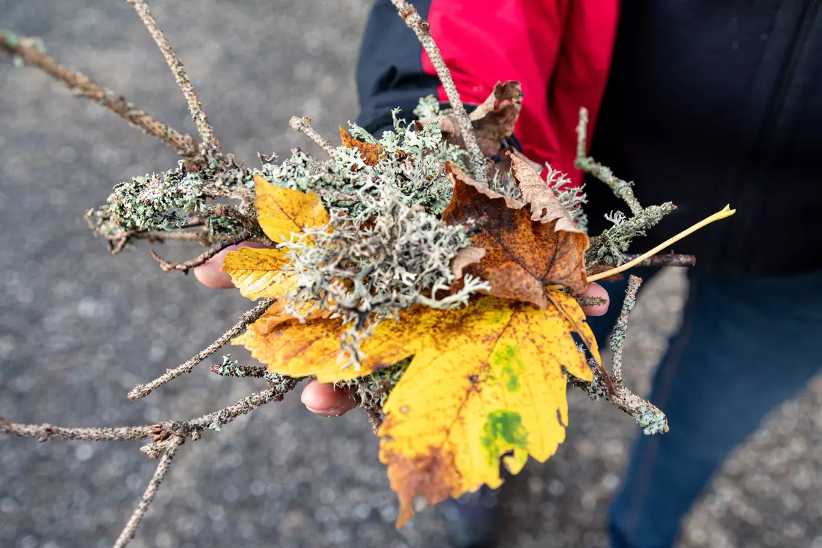 Herbstliche Naturmaterialien auf Handfläche