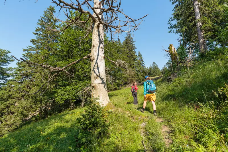 Zwei Frauen am Wandern