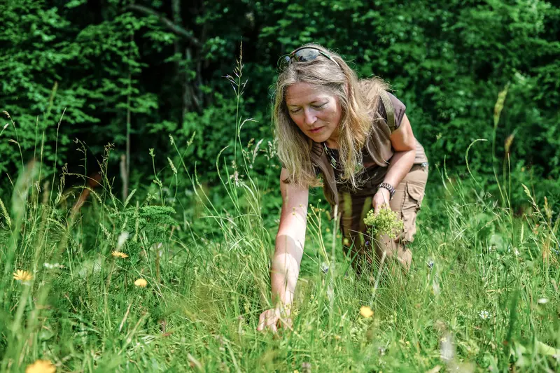 Guide in der Kräuterwiese