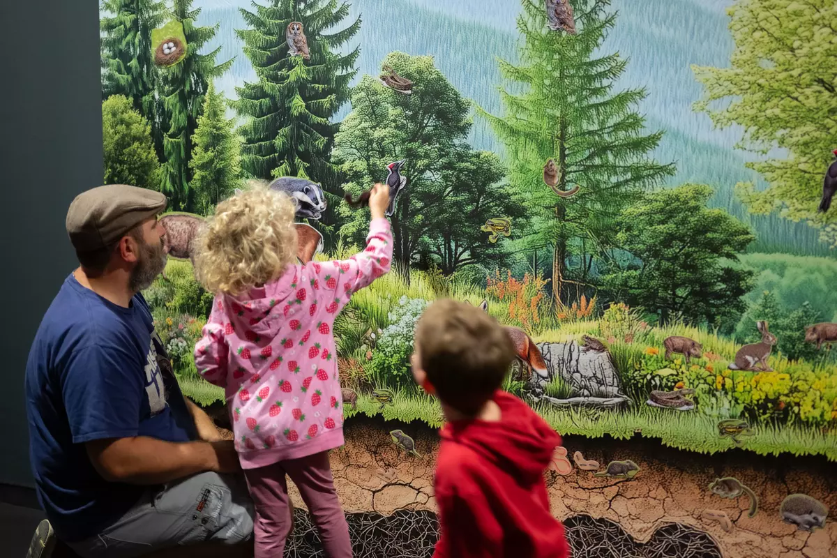 NATURSCHAUSPIEL im Schlossmuseum Linz