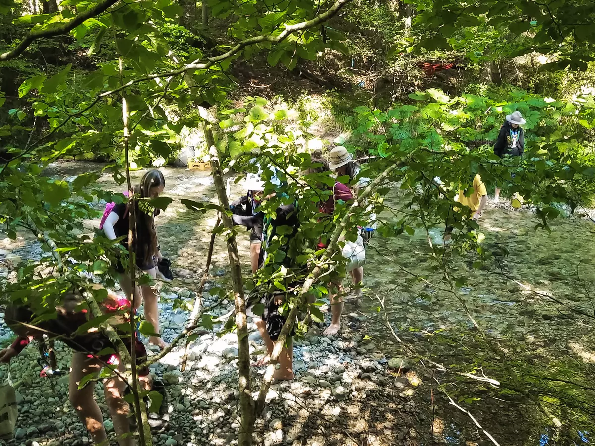 Teilnehmende barfuß in einem seichten Gewässer im Wald