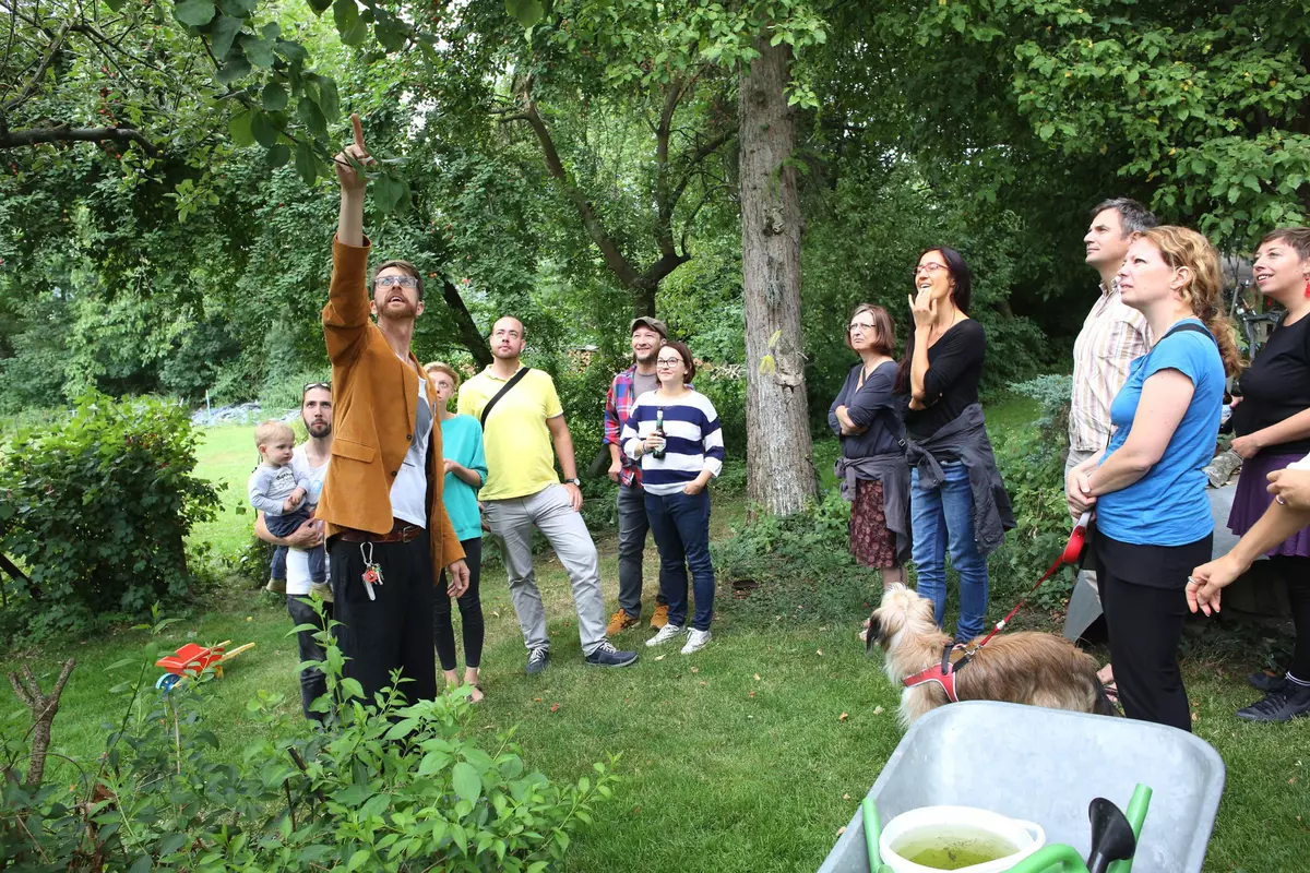 Guide zeigt einer Gruppe von Teilnehmenden einen Baum
