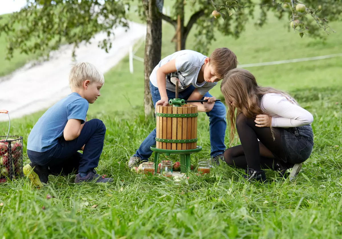 Drei Kinder beim Obstpressen