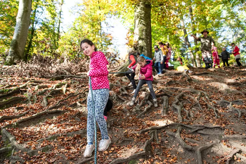 Mehrere fröhliche Kinder seilen sich im Wald ab