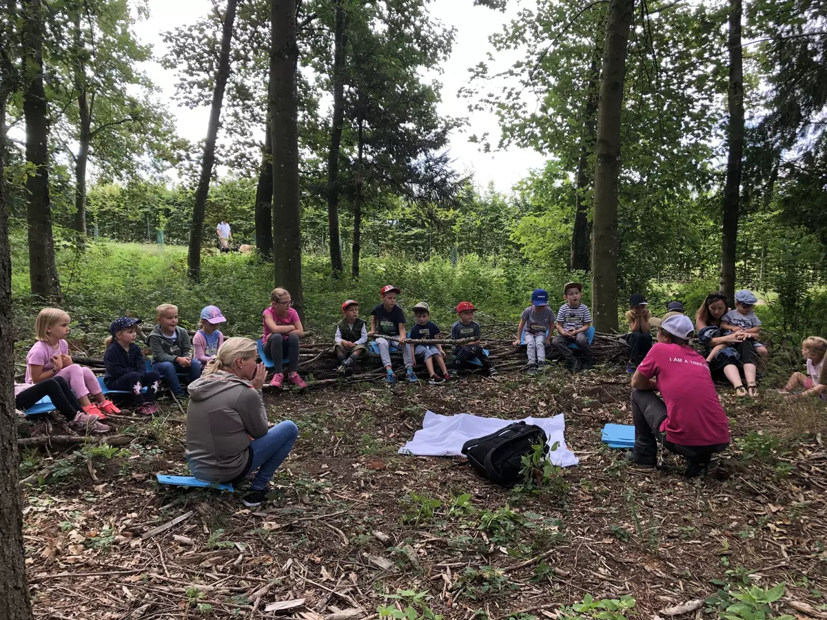 Guide erklärt einer Gruppe von Kindern den Waldboden