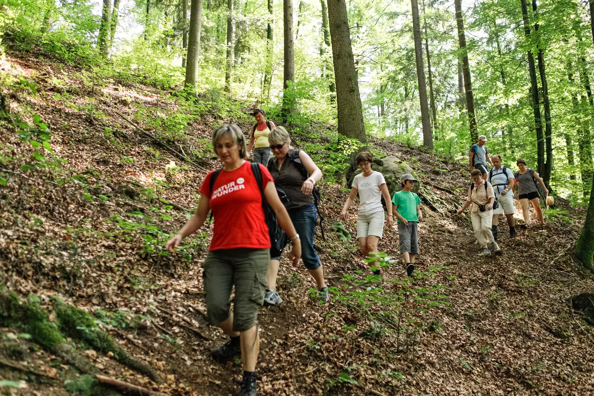 Gruppe auf Weg im Wald