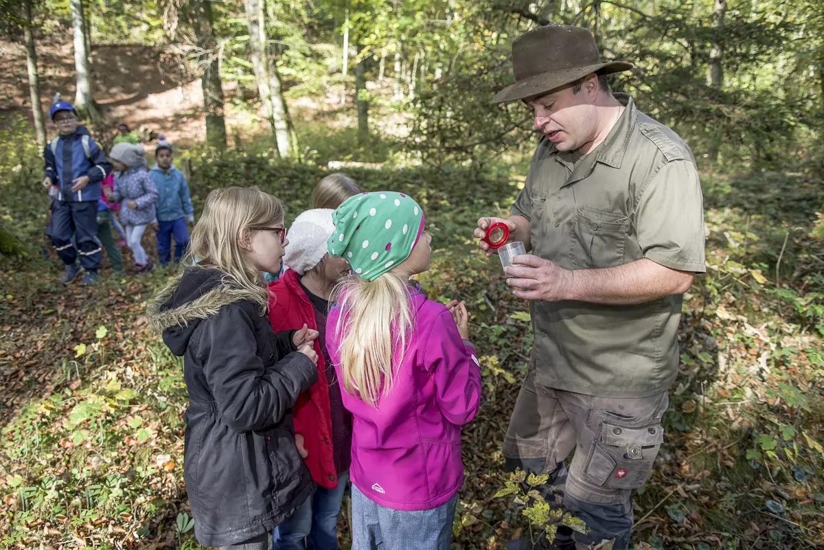 Guide mit Probebecher erklärt einer Gruppe von Kindern etwas im Wald