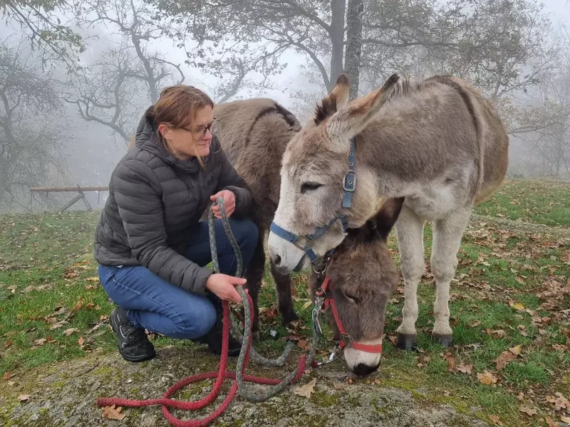 Frau mit Esel auf herbstlicher Wiese
