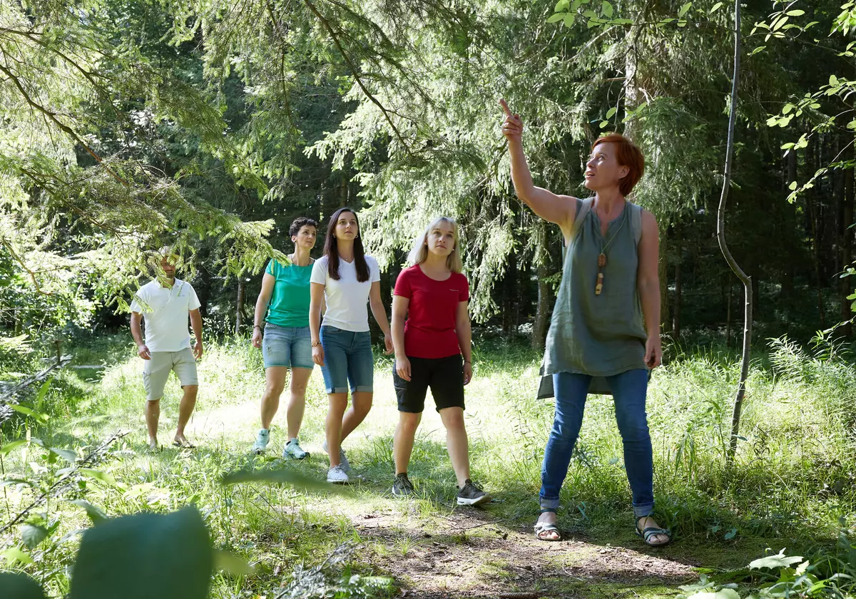 NATURSCHAUSPIEL-Tour