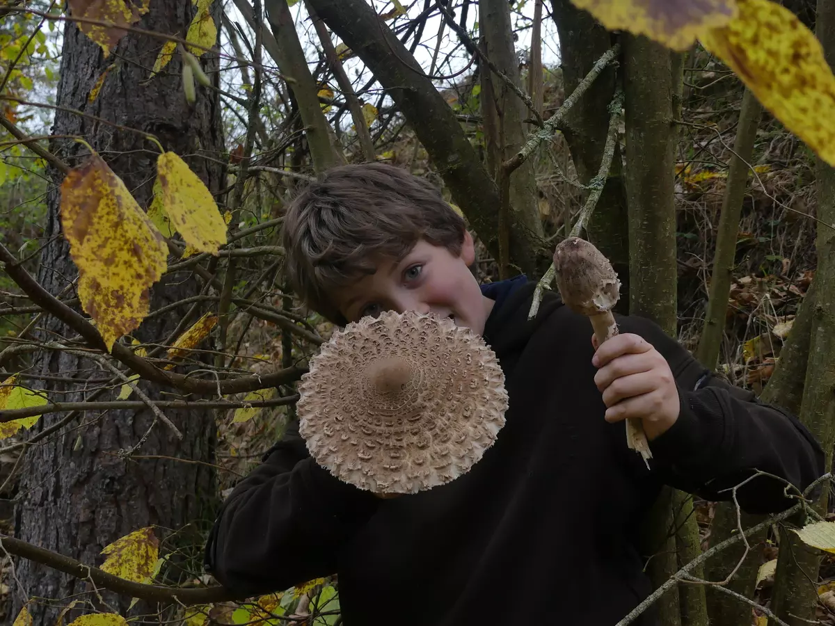 NATURSCHAUSPIEL-Tour