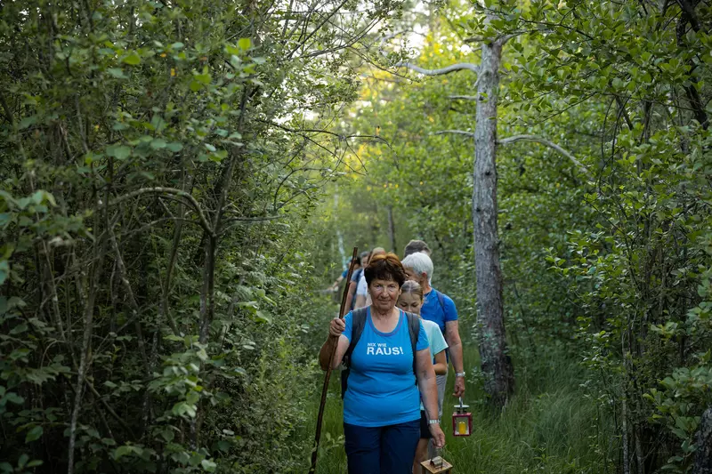 Guide führt eine Gruppe von Teilnehmenden in der Dämmerung über einen Pfad durch den Wald