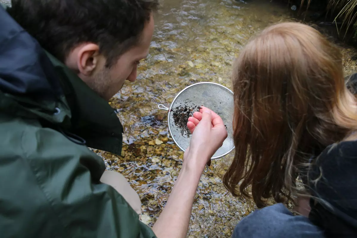 Zwei Teilnehmende beim Aufsammeln von Wasserpflanzen mithilfe eines Siebes