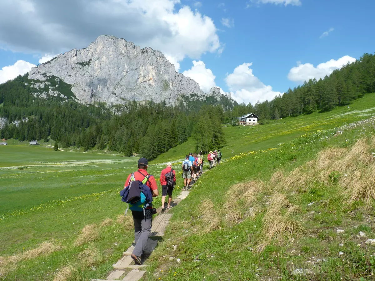 Gruppe wandert über Almwiese zu einer Hütte