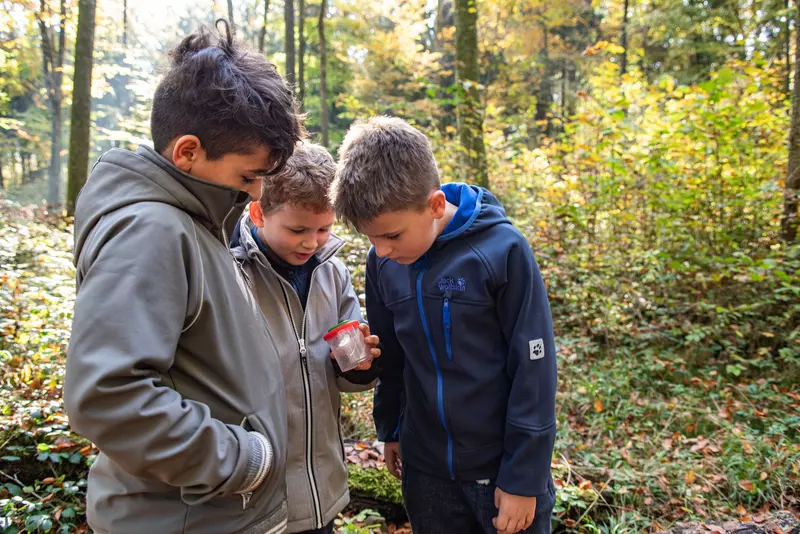 Kindergruppe mit Becherlupe