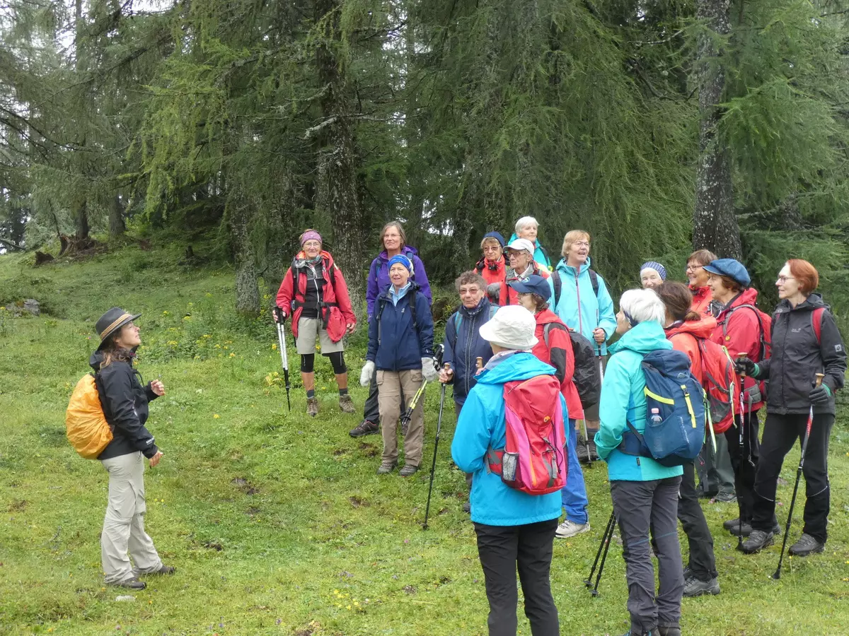 Guide mit Gruppe auf Almwiese nahe Wald