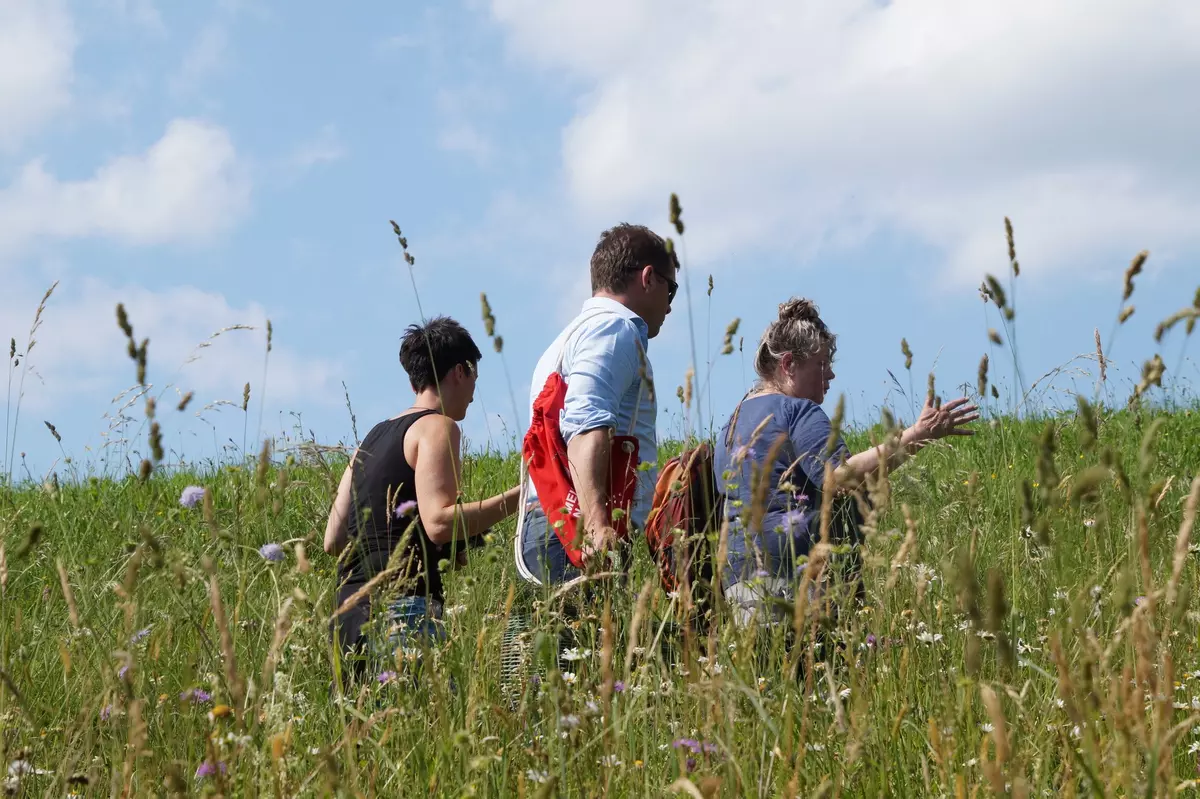 Gruppe geht mit Guide durchs hohe Gras