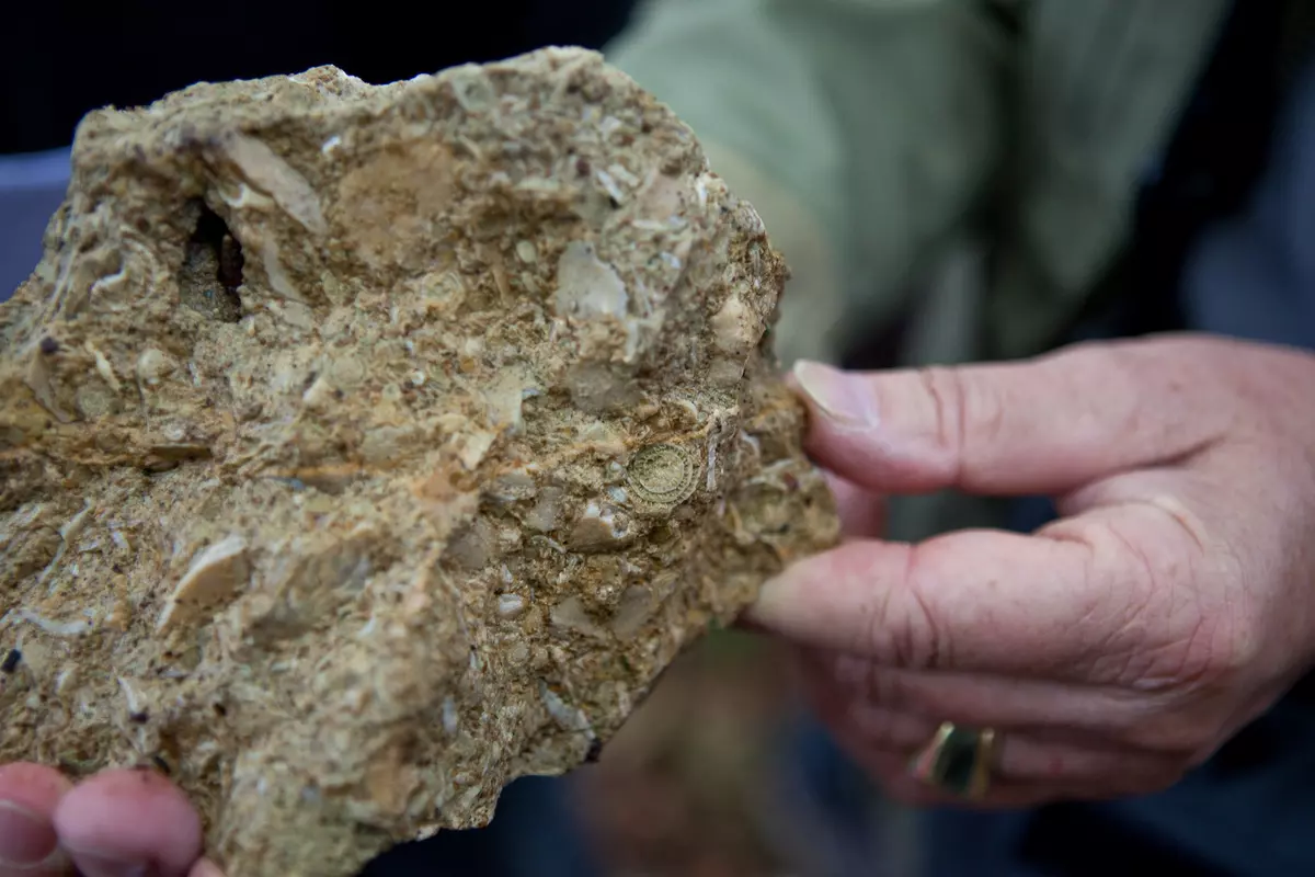 Guide mit geologischem Fundstück