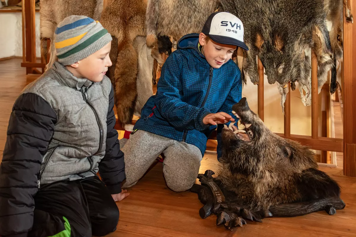 Kinder mit ausgestopftem Wildschweinkopf