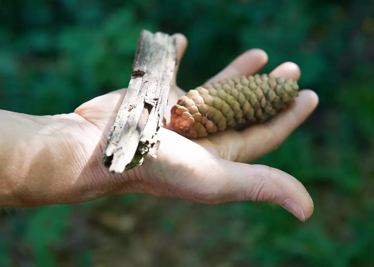 Ein Teilnehmender hält Tannenzapfen und Holz in der Hand