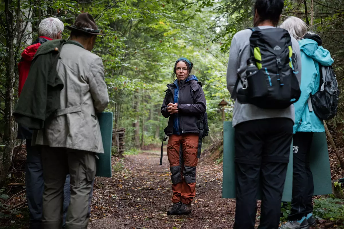 Guide mit Gruppe auf Waldweg