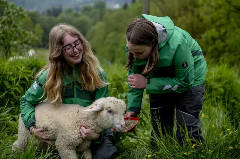 Zwei Mädchen füttern ein junges Schaf