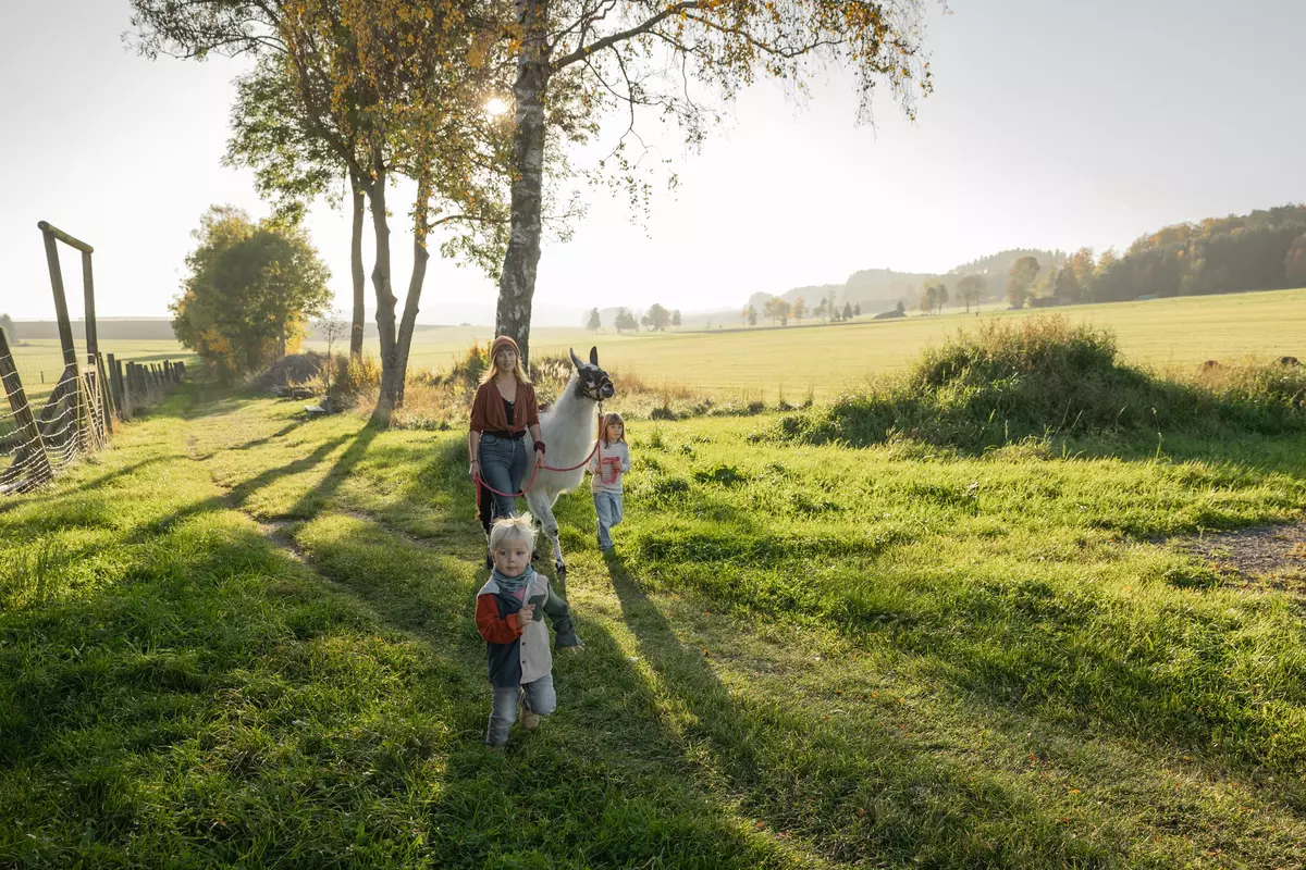 Teilnehmende mit Kindern und Lama auf einer Wiese im Sonnenuntergang