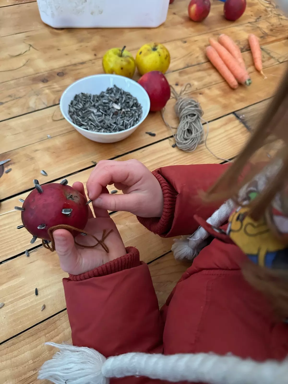 Vogelfutter selber machen