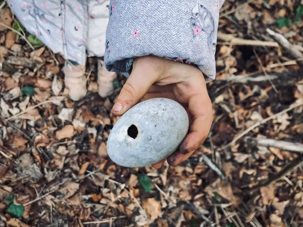Kind hält ein zerbrochenes Vogelei in der Hand