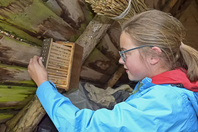 Kind betrachtet Bienenhotel