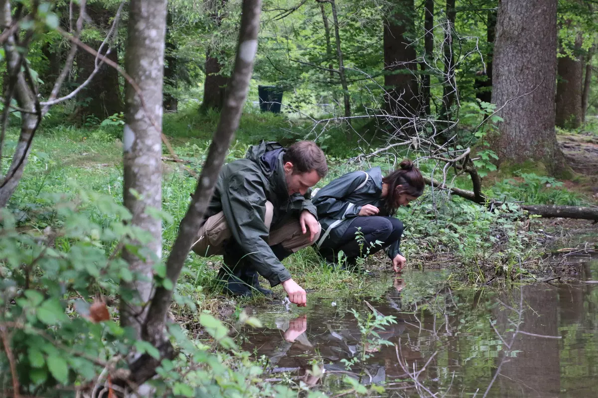 Die Guides zeigen, wie man Wasserproben entnimmt