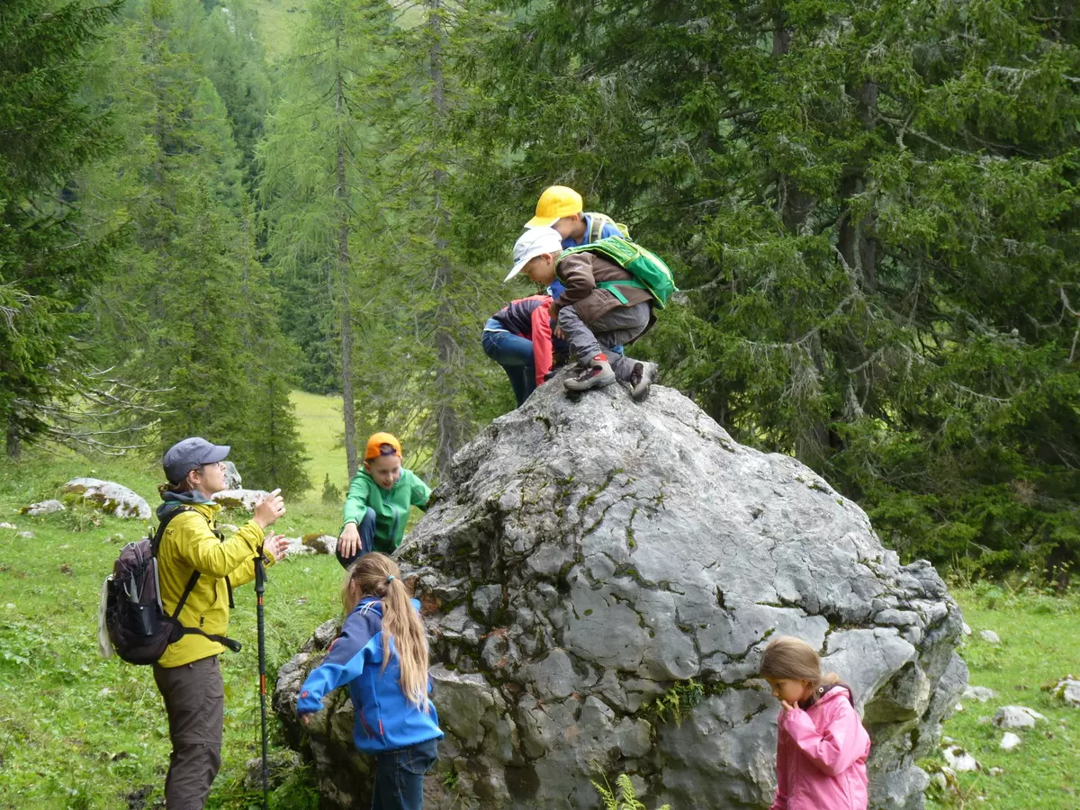 Kindergruppe klettert auf einen kleinen Felsen am Waldboden
