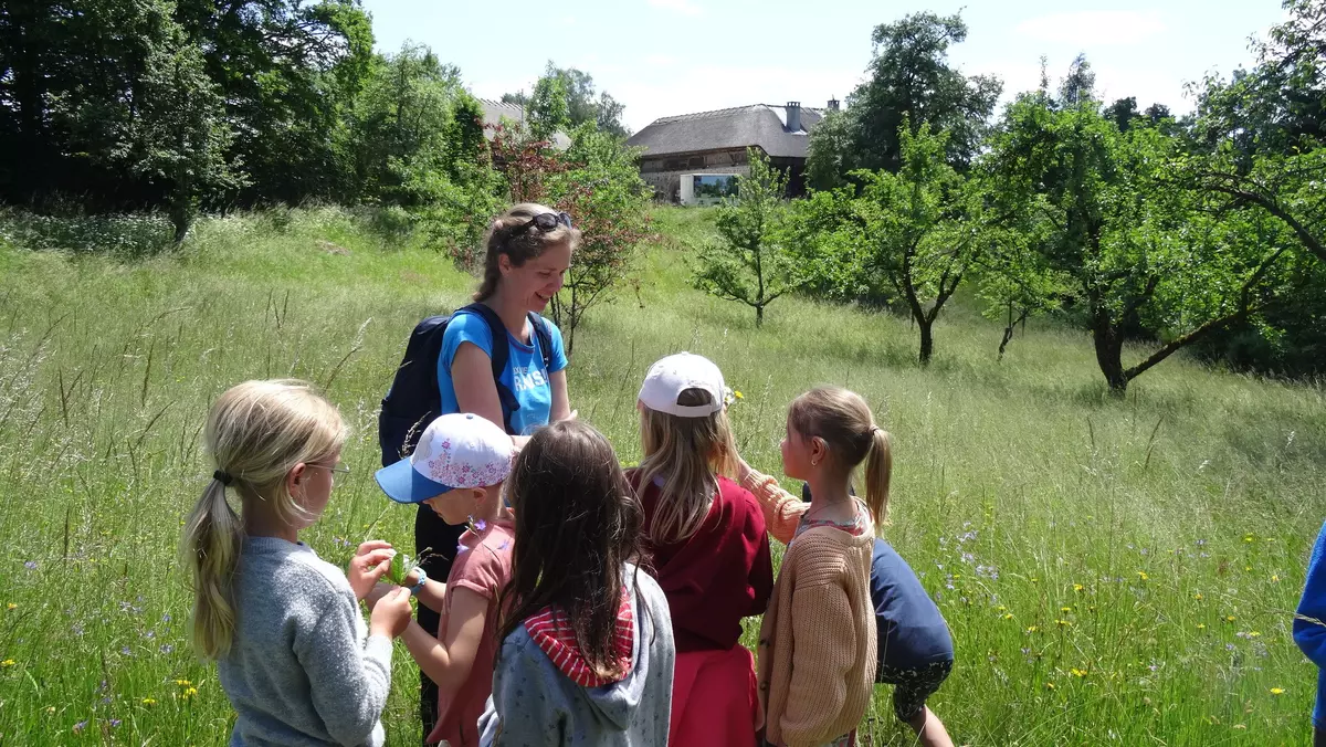 Guide mit Kindergruppe in der Wiese