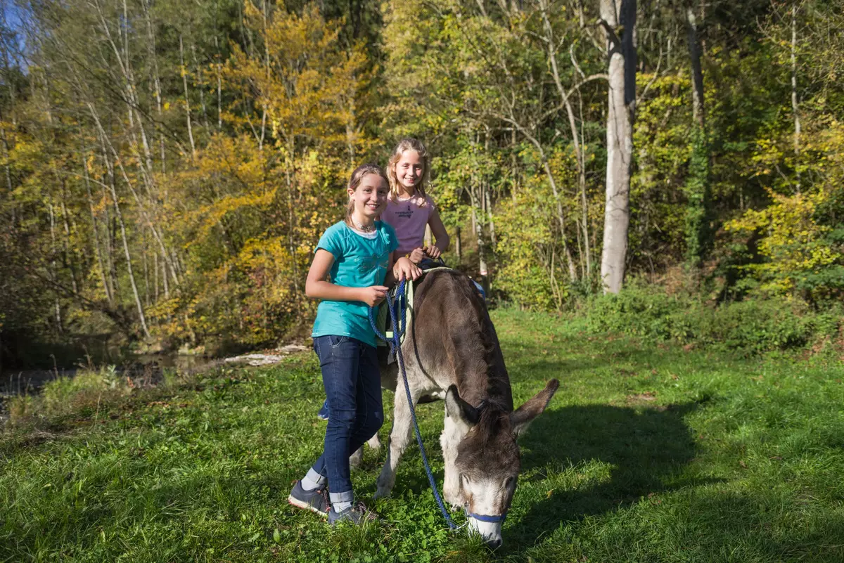 2 Mädchen mit Esel am Seil auf Wiese im Wald