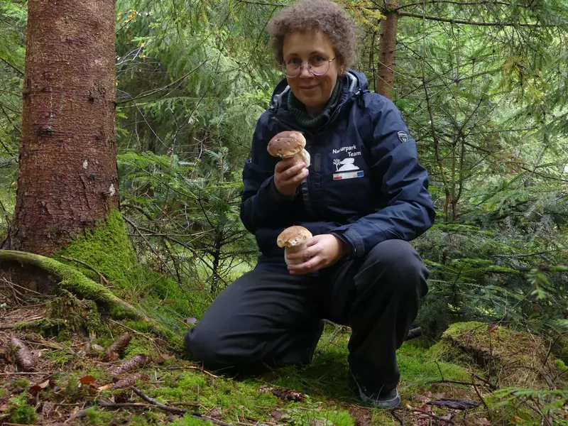 Guide mit zwei Pilzen im Wald