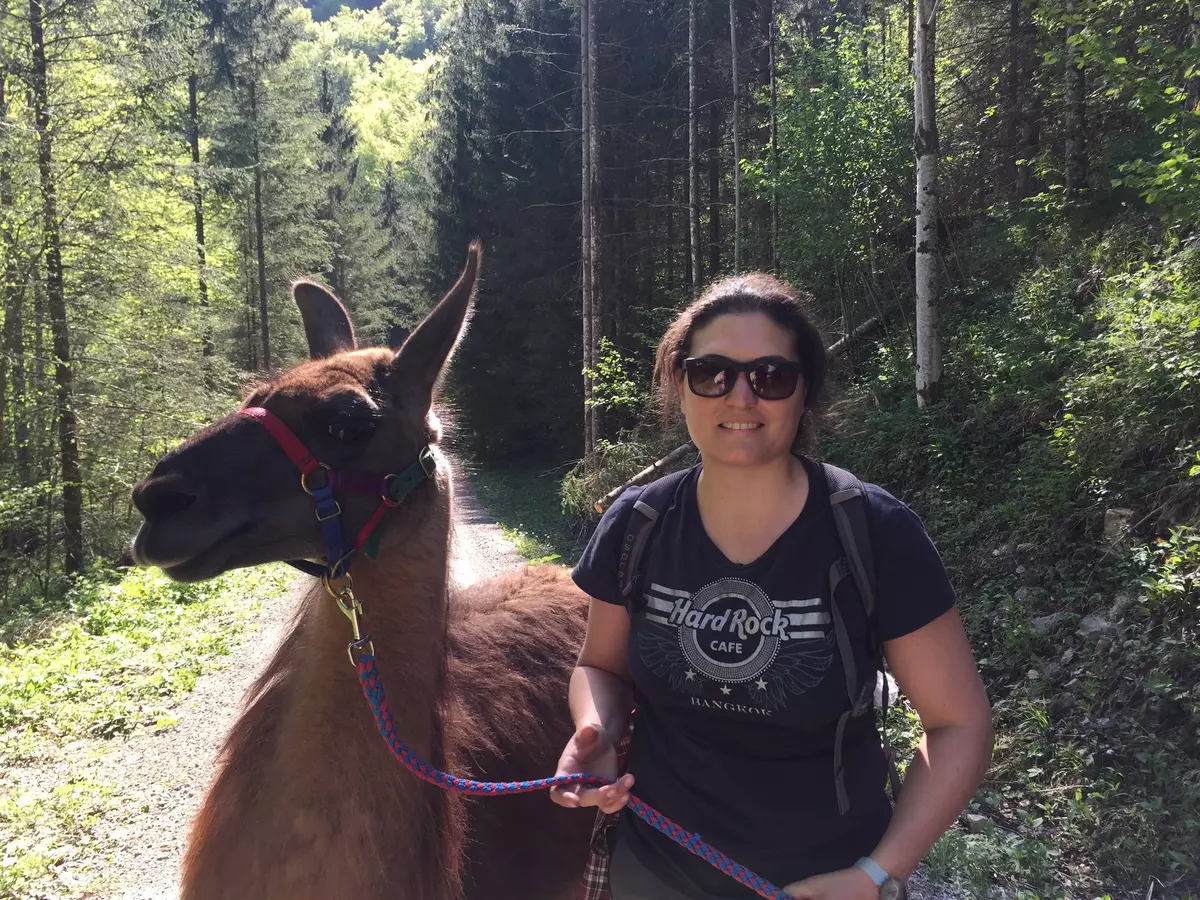 Guide mit Lama