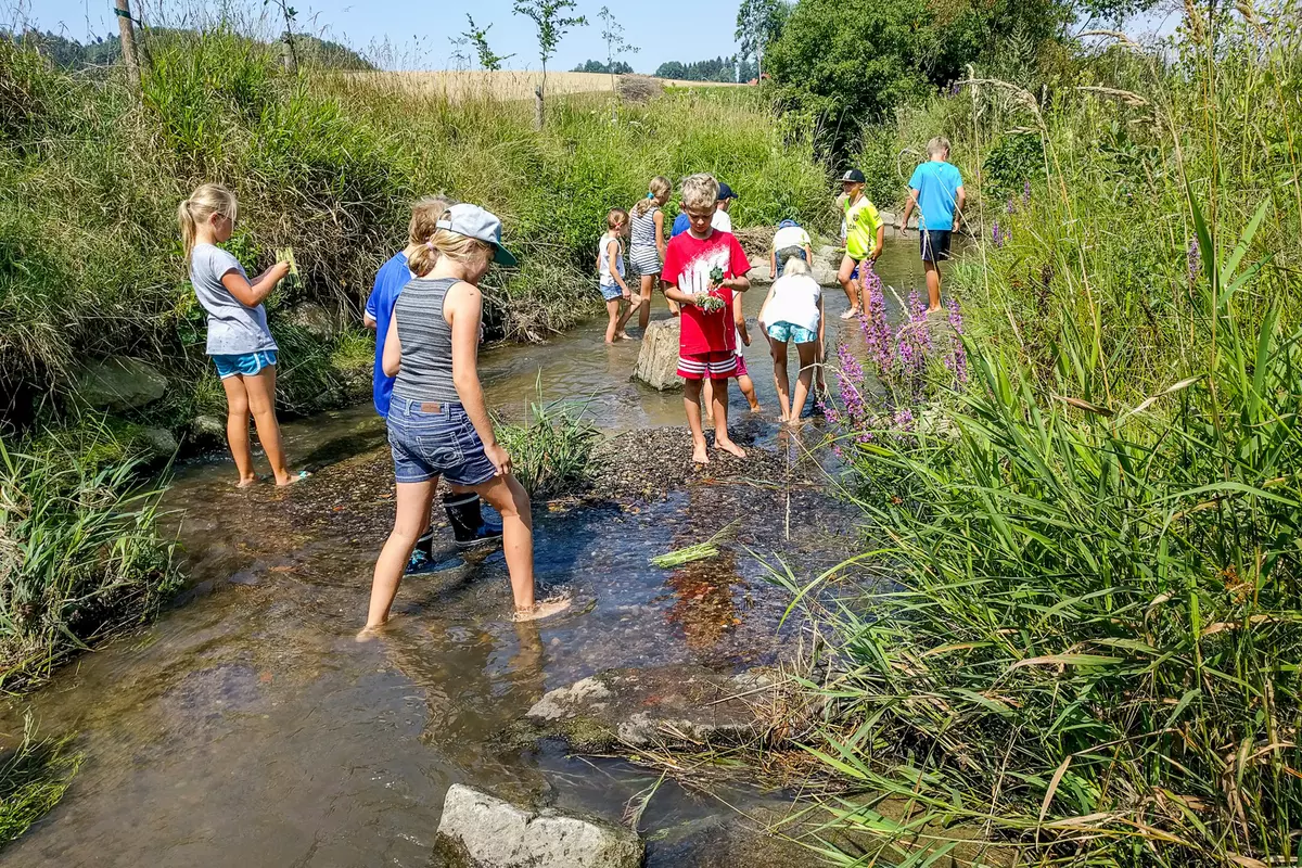 Gruppe von Kindern untersucht in einem kleinen Bach Wasserpflanzen