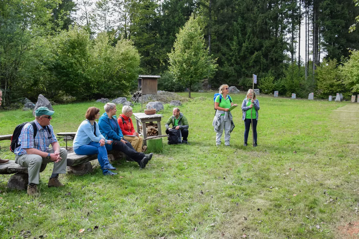 Teilnehmende auf einer Holzbank auf einer Wiese neben dem Wald