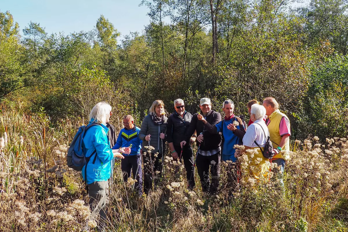 Gruppe im herbstlichen Moordickicht