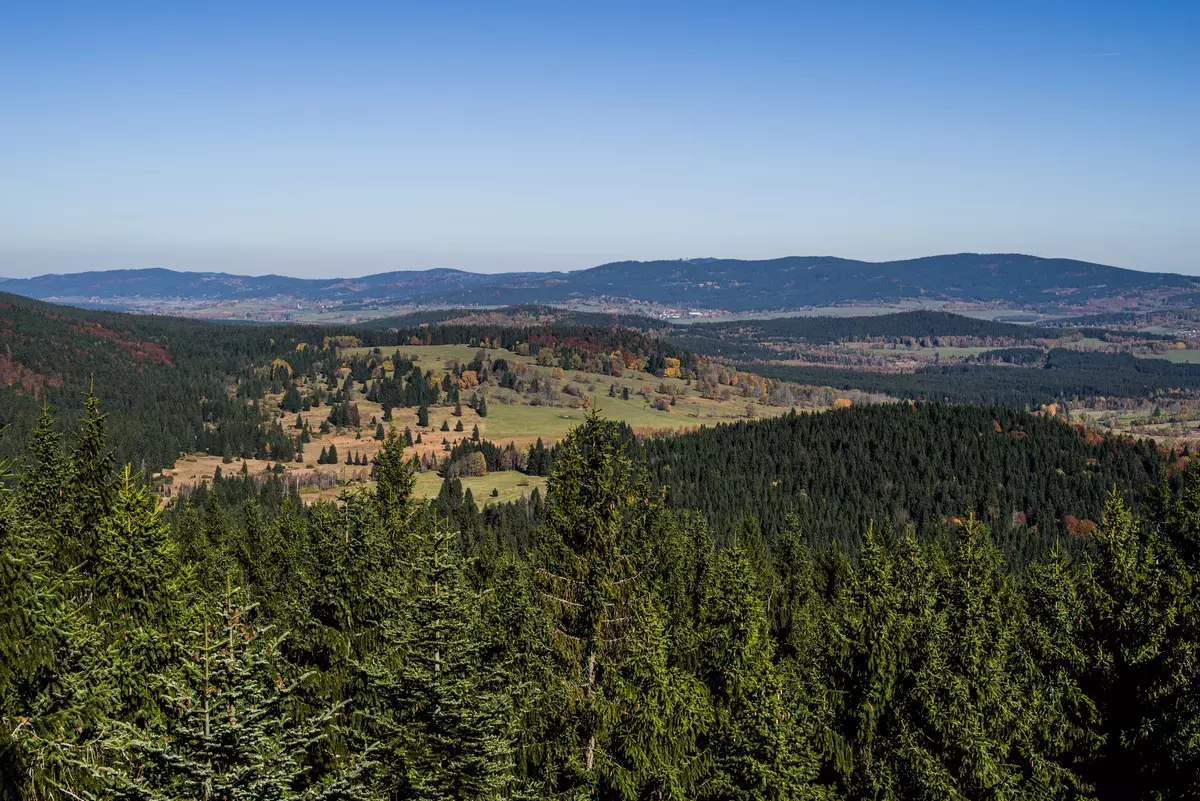 Panorama herbstliche Landschaft mit Wald und Wiese