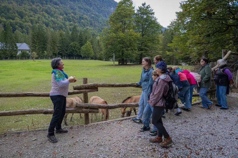 Guide erklärt Teilnehmer:innen