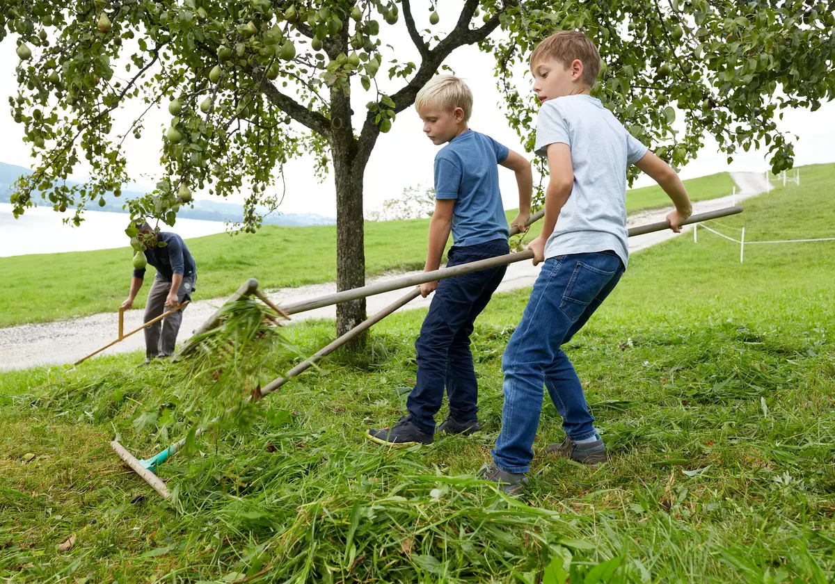 Zwei Jungen beim manuellen Mähen der Wiese unter einem Apfelbaum