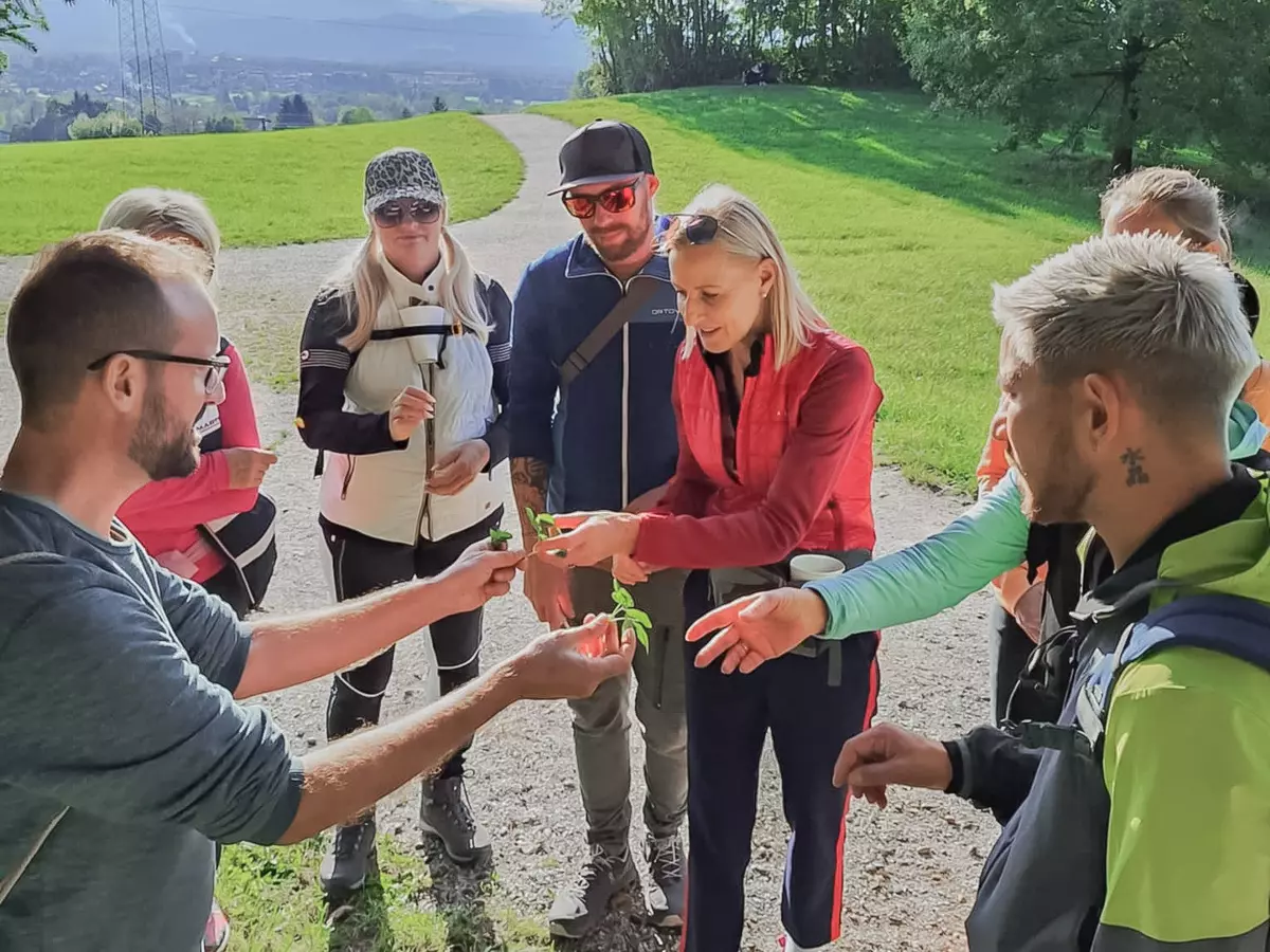 Gruppe begutachtet Kräuter 