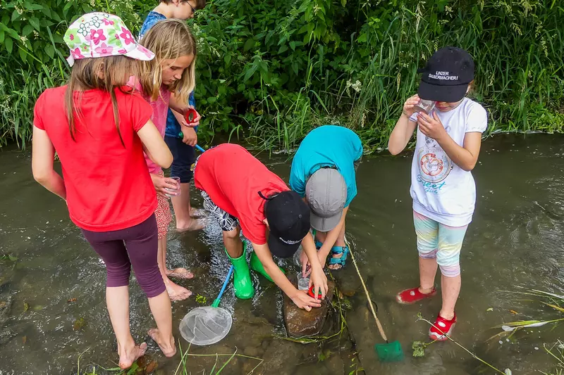 Kindergruppe im Bach mit Becherlupe und Kescher
