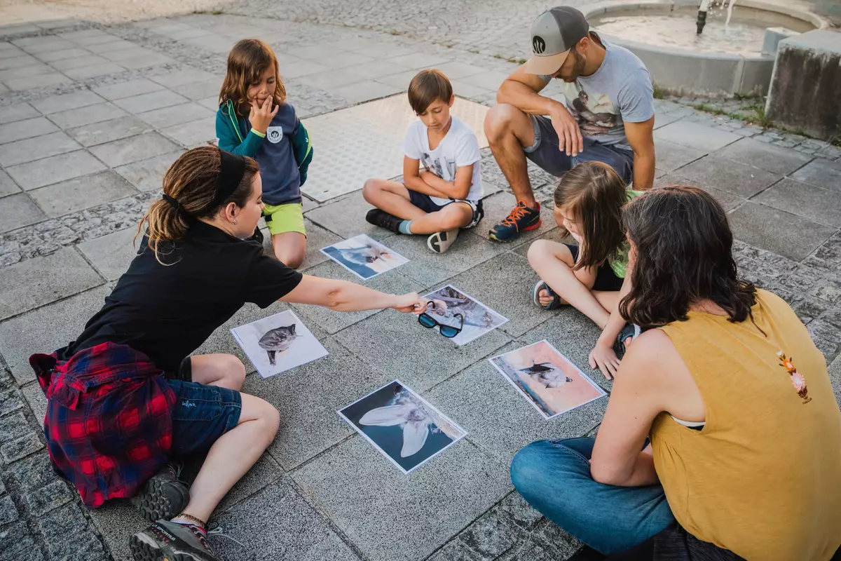 Guide erklärt einer teilnehmenden Familie etwas über Fledermäuse