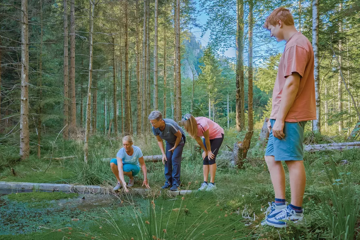 Guide zeigt Teilnehmenden ein Moor im Wald
