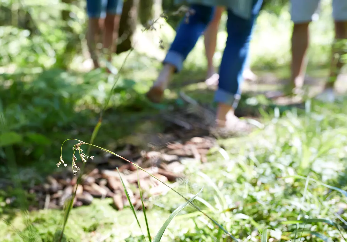 NATURSCHAUSPIEL-Tour